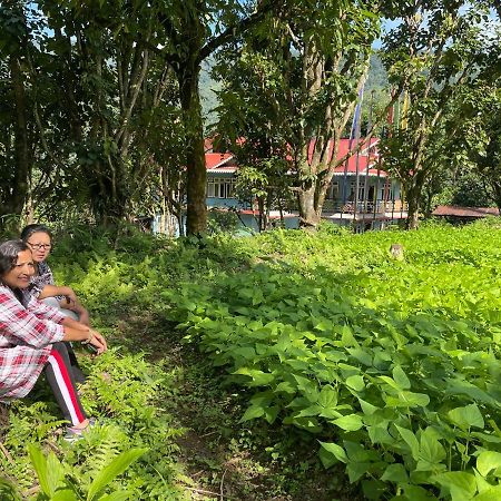 Khimsha Homestay Pelling Exterior photo
